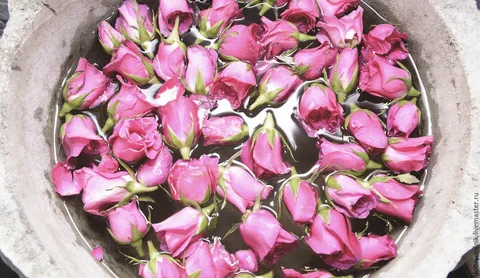 قیمت عرق گلاب
